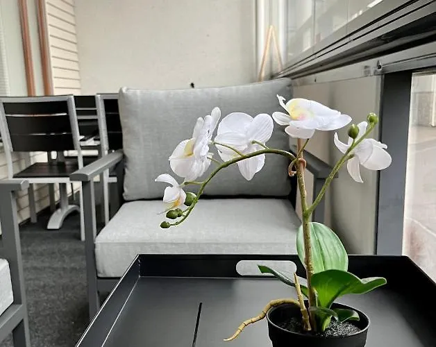 Premium 4212 헤이놀라